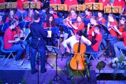 Frühjahrskonzert-2014-24-scaled