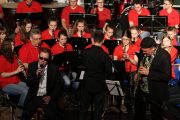 Frühjahrskonzert-2015-3-scaled