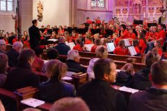 Herbstkonzert-2016-12-scaled