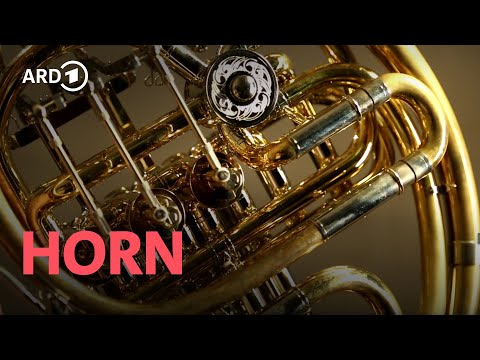 Horn | Horst Ziegler | Instrumente im Symphonieorchester | SWR Classic